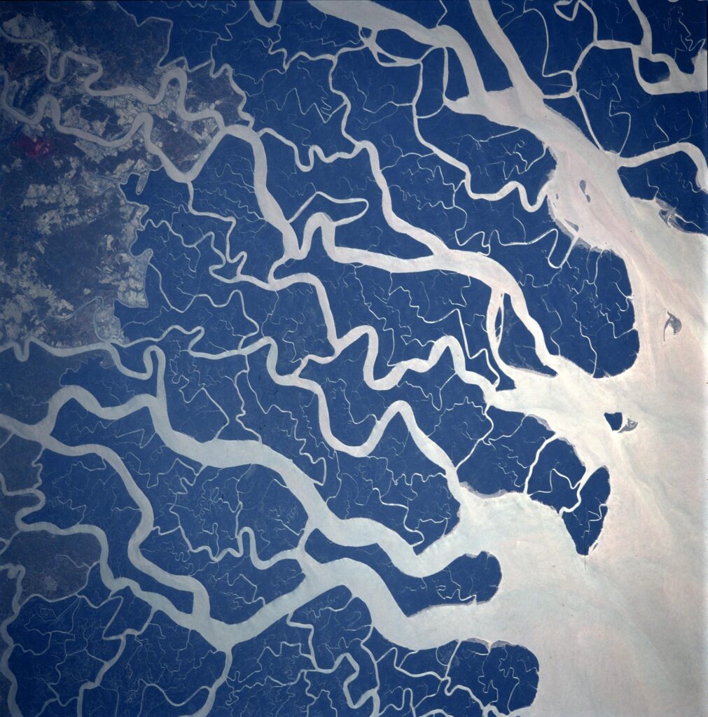 ganges river delta 0