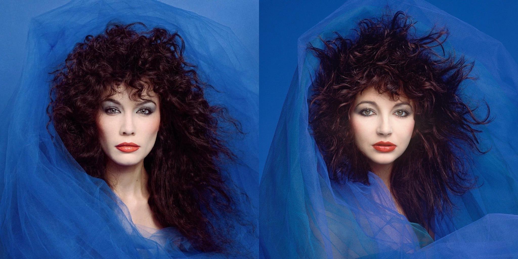 462719206_567162258998791_369778996042045663_n | Kate Bush News